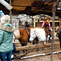 A world of animals at the Berlin Christmas market (1830 gweladenn) Petting zoo at the Berliner Weihnachtszeit A world of animals at the Berlin Christmas market